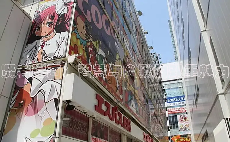 五一动画网页版